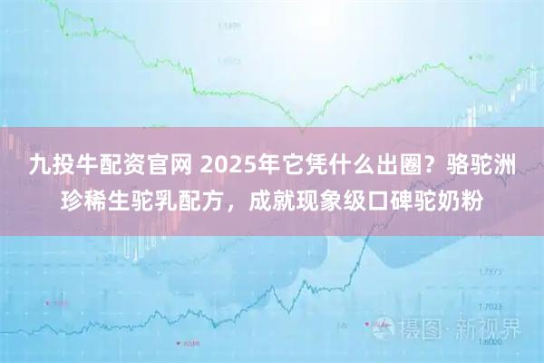 九投牛配资官网 2025年它凭什么出圈?骆驼洲珍稀生驼乳配方,成就现象级口碑驼奶粉